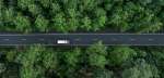 Une route dans la forêt avec un camion 